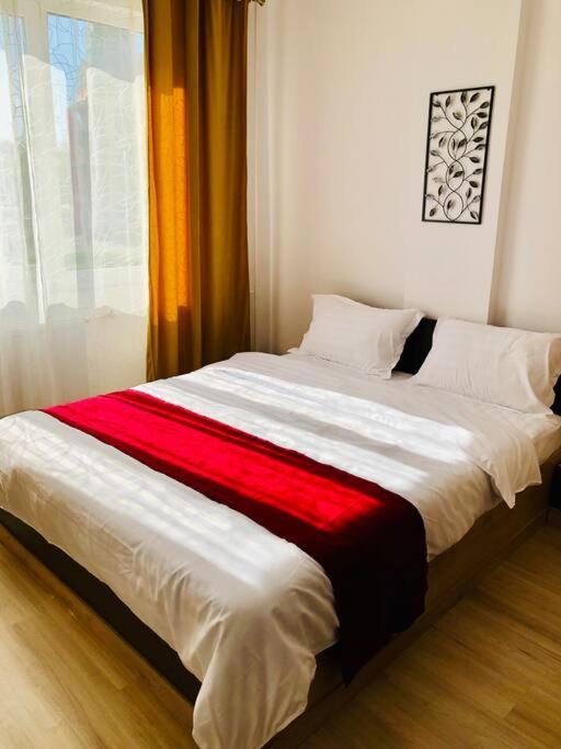 Joy City Stay Victoriei 7G-9 Timisoara Ngoại thất bức ảnh
