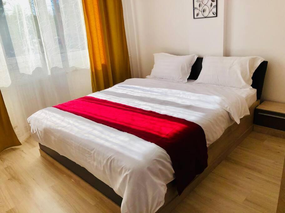 Joy City Stay Victoriei 7G-9 Timisoara Ngoại thất bức ảnh